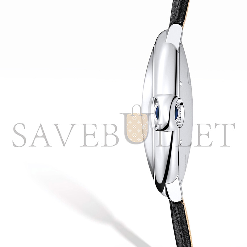 Ca*t*er ballon bleu de Ca*t*er watch wsbb0003